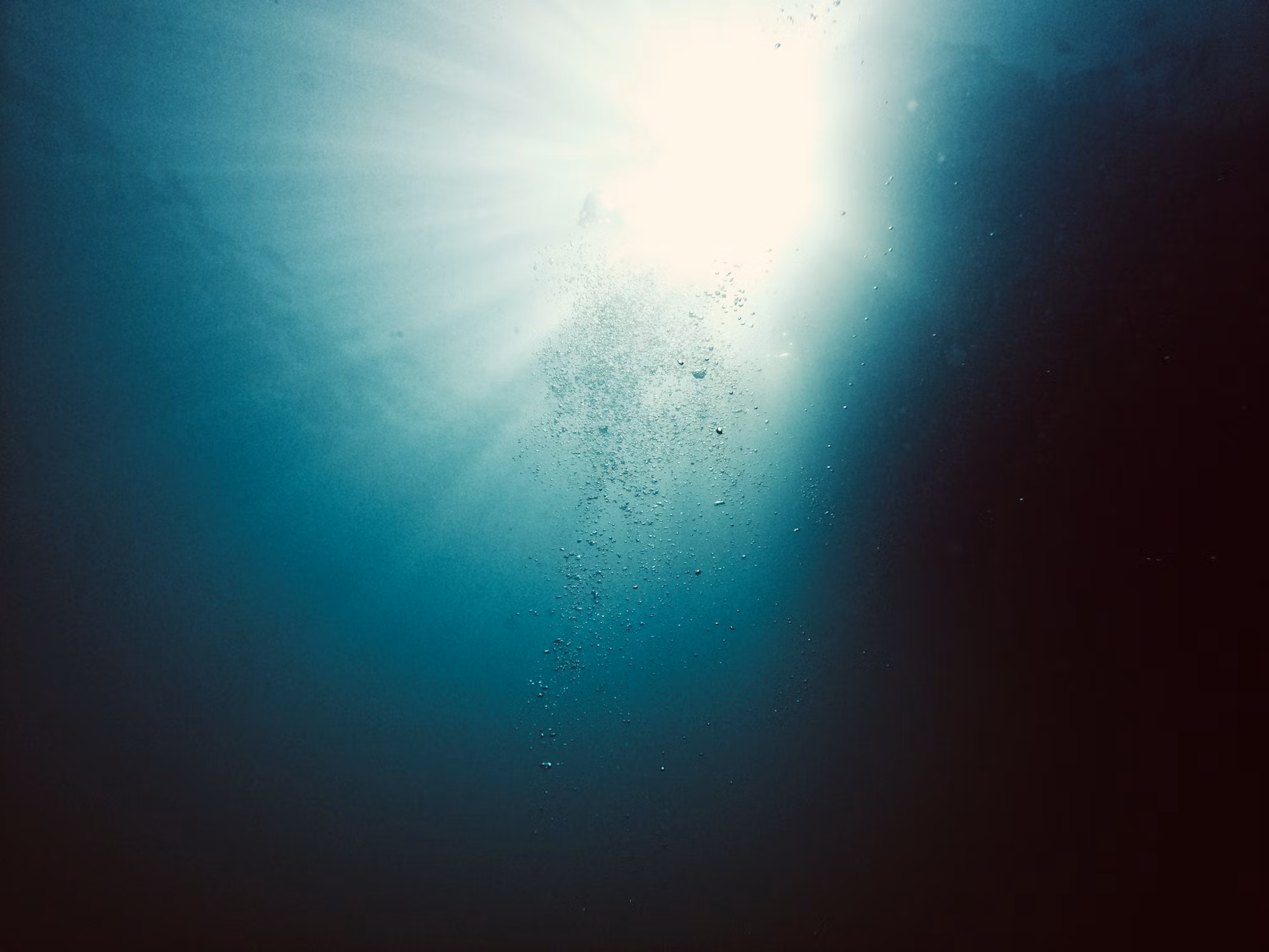 Beneath the Waves: A Journey Through the World of Diving