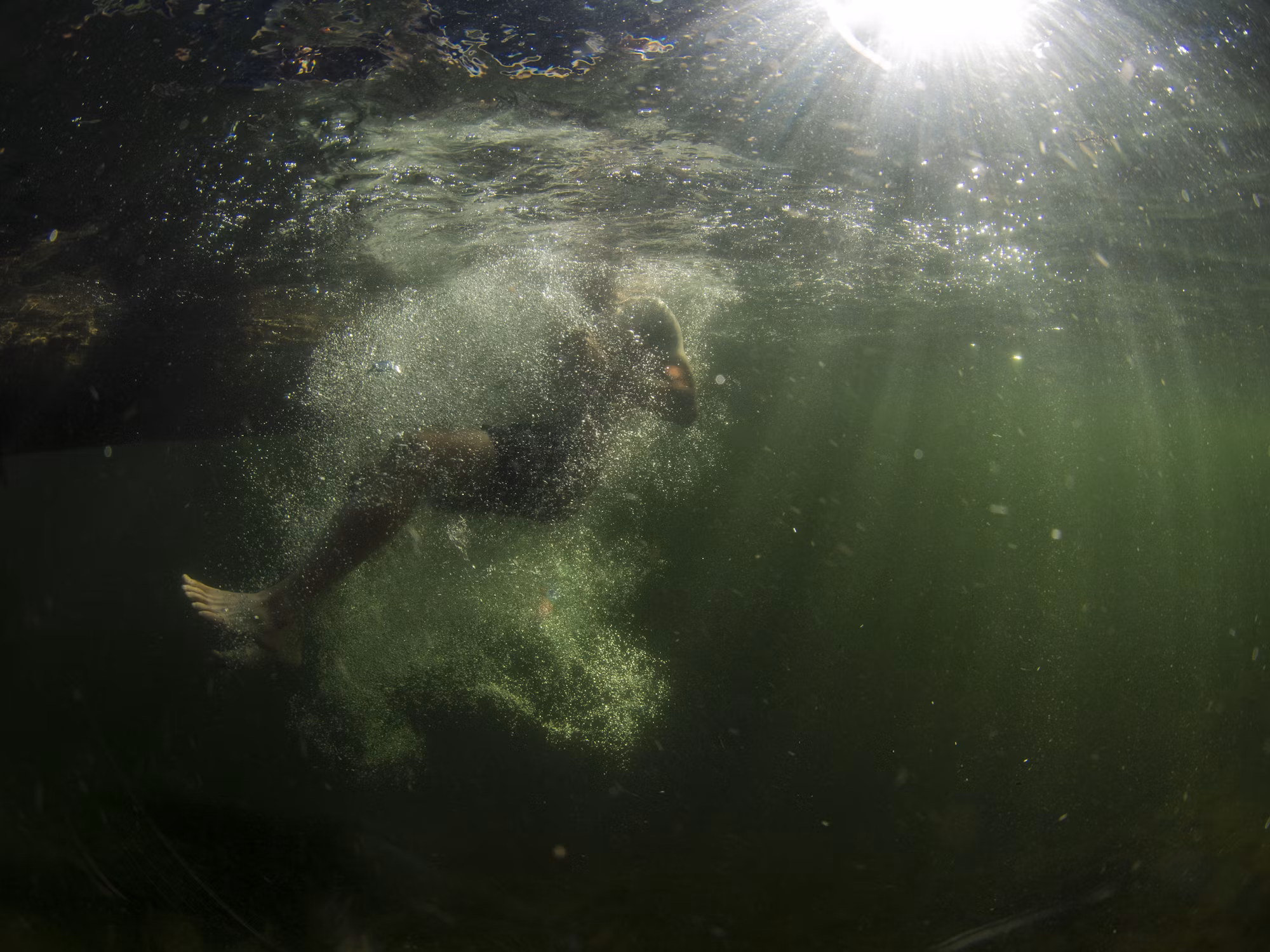 Discovering the Underwater World: A Journey Through Diving Adventures